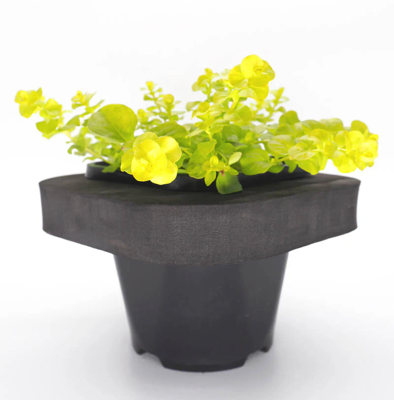 Shop our Range of Floating Pond Plants